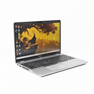 Dell Latitude 5510 Core i5-10310U/ RAM 16 Gb/ SSD 256 Gb/ 15,6" FHD